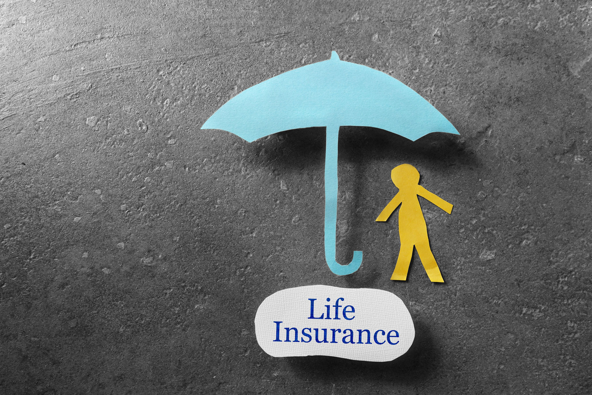 Life insurance guide