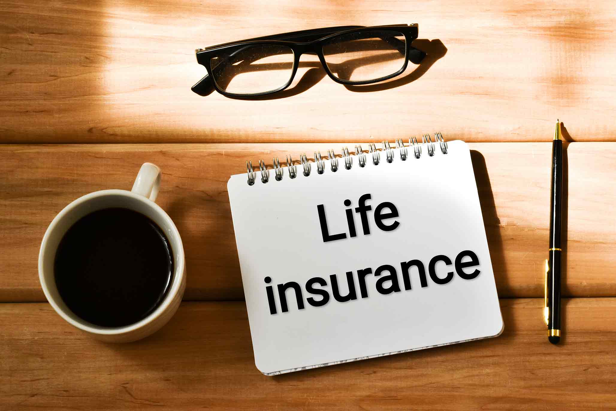 What are the Principal Types of Life Insurance? | Aviva India
